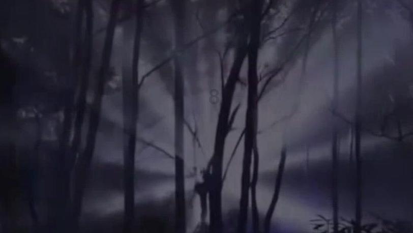 秘宝猎人