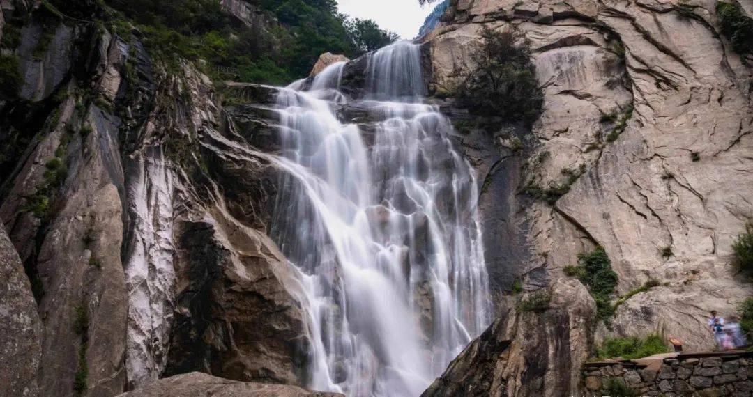 味道苦涩,营养丰富,你知道这是什么蔬菜吗?